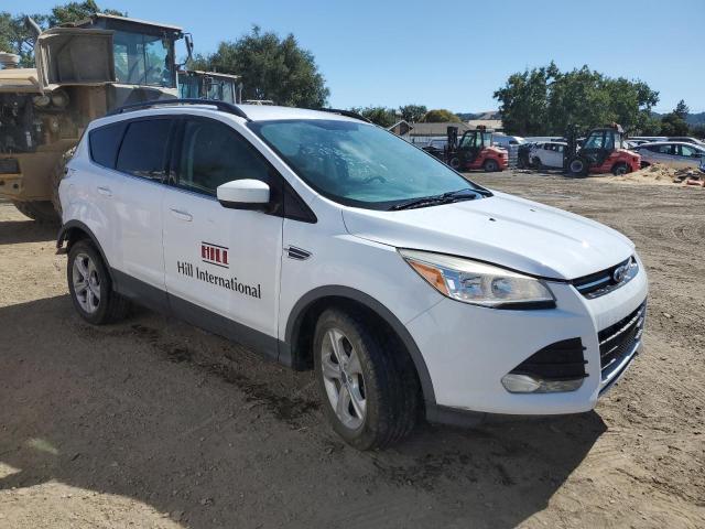2014 FORD ESCAPE SE - 1FMCU0GX5EUC76531