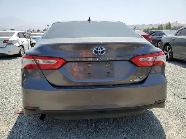 2019 TOYOTA CAMRY LE - 4T1B31HK4KU516896