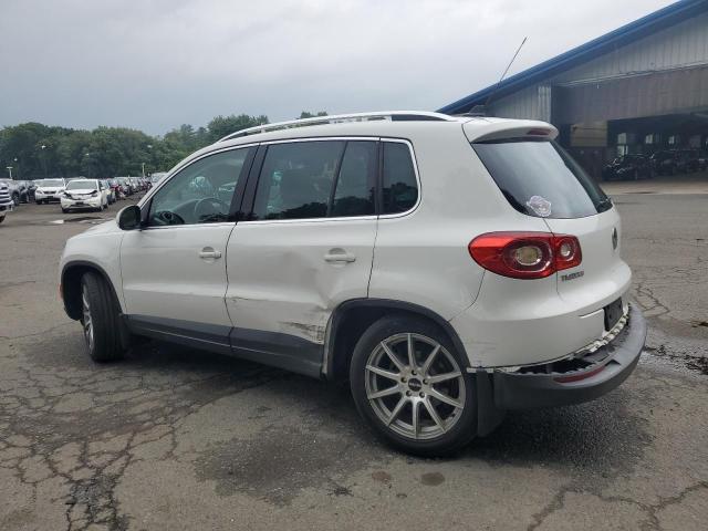 2010 VOLKSWAGEN TIGUAN SE - WVGBV7AX3AW001507