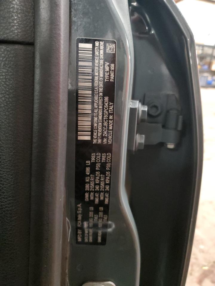 JEEP RENEGADE TRAILHAWK