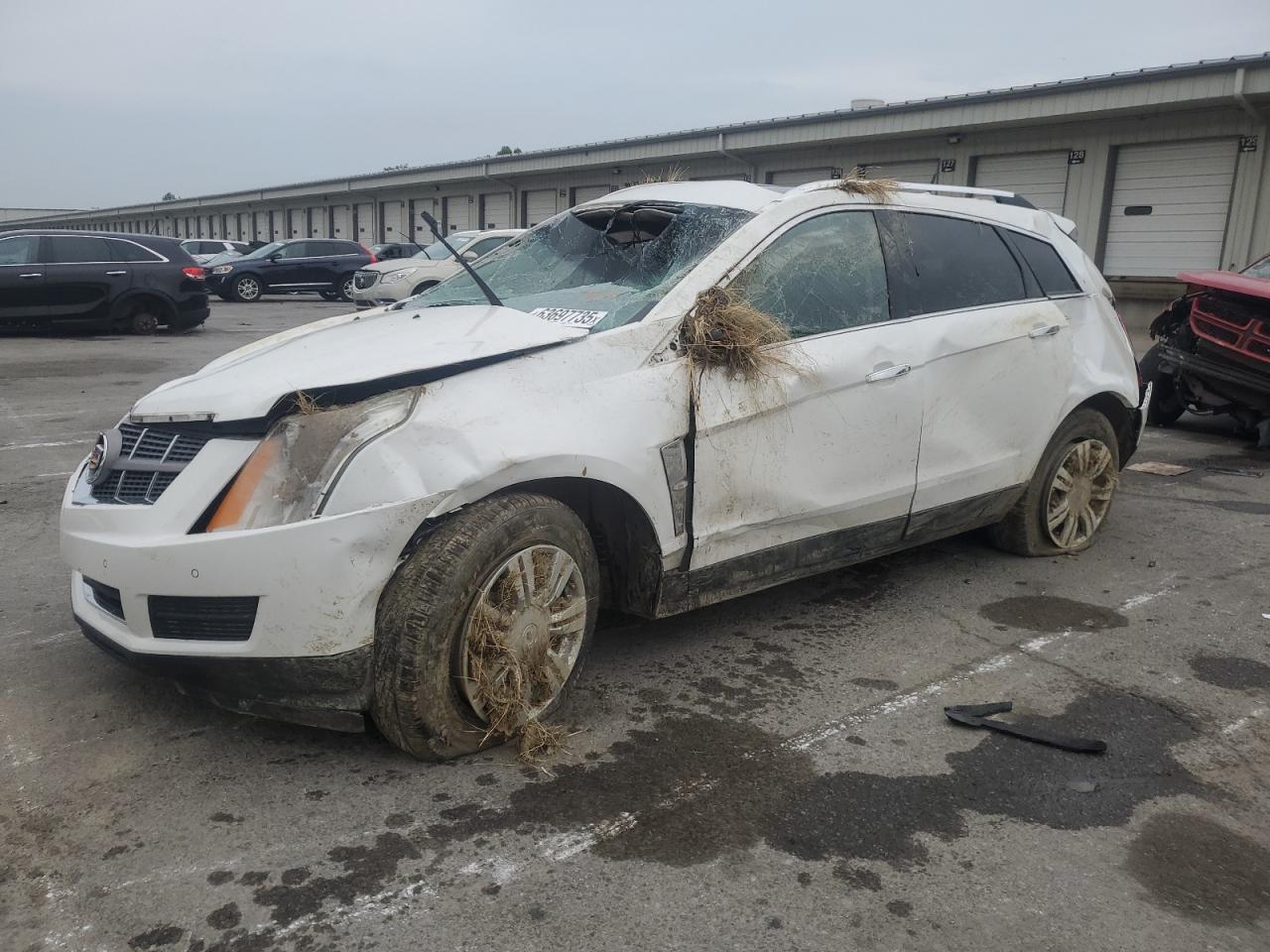 CADILLAC SRX LUXURY COLLECTION