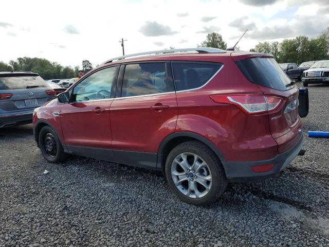 2014 FORD ESCAPE TIT - 1FMCU9J90EUE41559