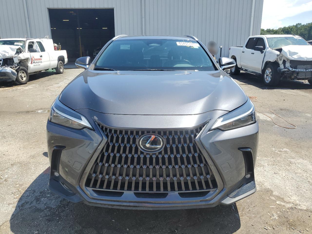 LEXUS NX 250