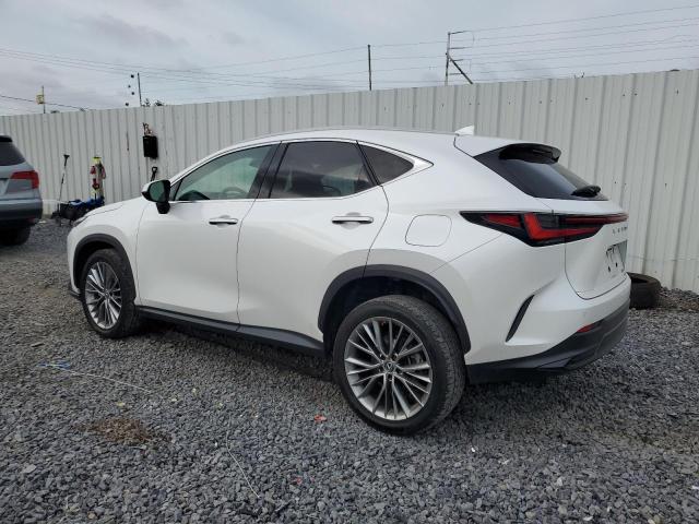 2022 LEXUS NX 350H 2T2GKCEZ1NC004648