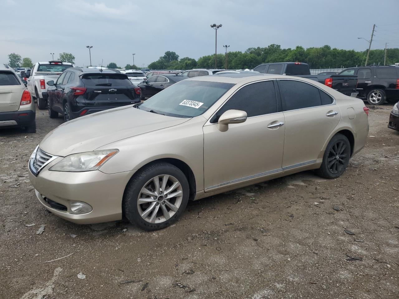 LEXUS ES 350