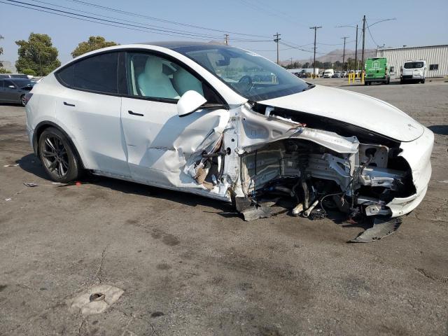 2024 TESLA MODEL Y 7SAYGDEE1RF126959