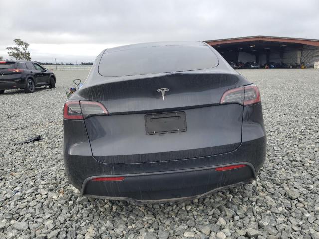 2025 TESLA MODEL Y 7SAYGDED6SF315216