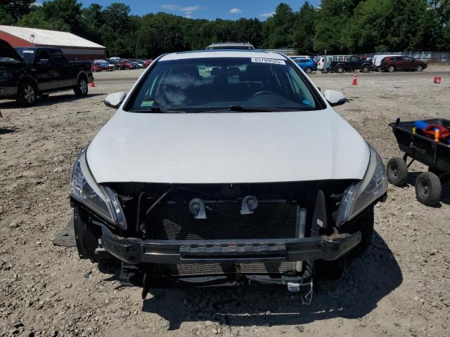 2016 HYUNDAI SONATA SPO - 5NPE34AF5GH426111