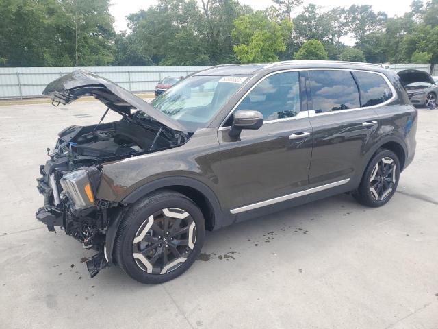 2024 KIA TELLURIDE - 5XYP64GCXRG515289
