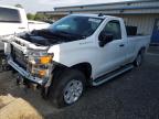 Lot #3315591771 2024 CHEVROLET SILVERADO