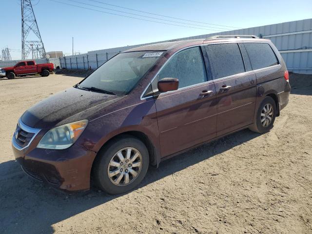 HONDA ODYSSEY EX