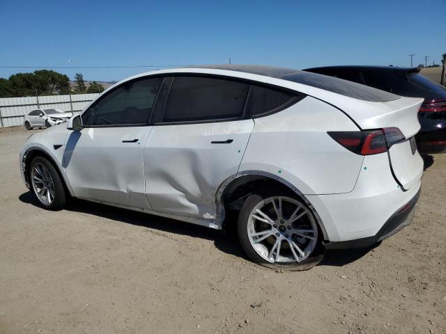 2023 TESLA MODEL Y 7SAYGDEE4PF740448