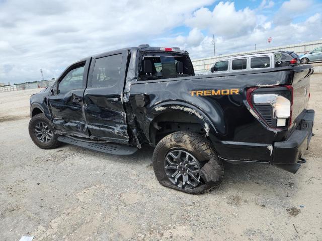 2025 FORD F150 TREMO 1FTFW4L58SFA04207