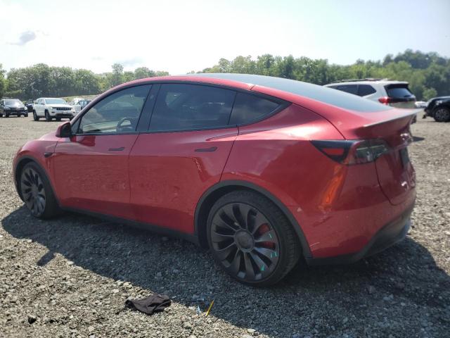 2023 TESLA MODEL Y 7SAYGDEF5PF947441