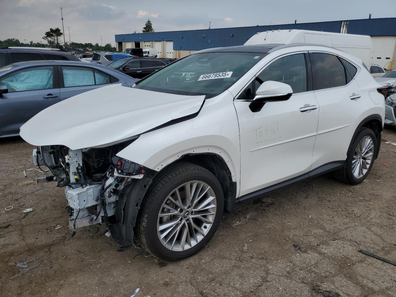 LEXUS NX 350 LUXURY