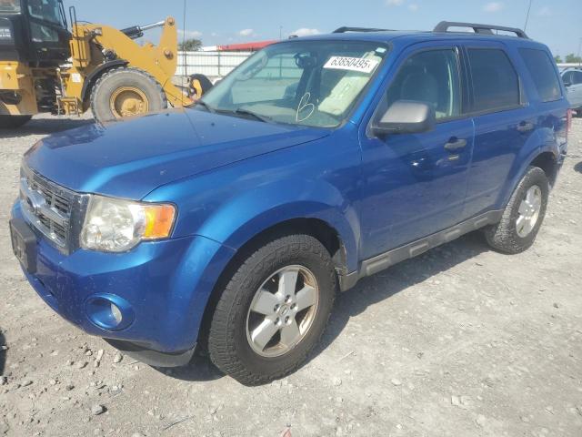 Vin: 1fmcu0dgxckc77462, lot: 63850495, ford escape xlt 2012 img_1