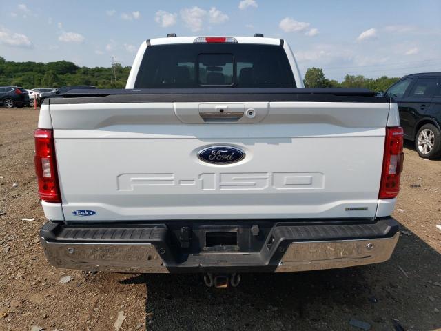 2023 FORD F150 SUPER - 1FTFW1E85PFC03888
