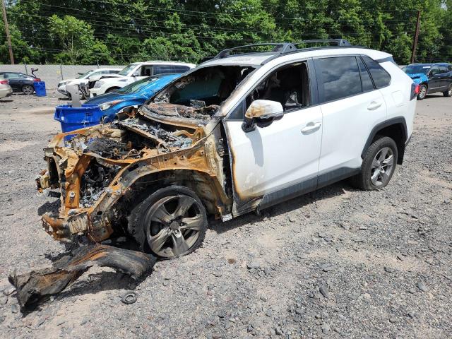 2024 TOYOTA RAV4 XLE - 2T3P1RFV2RC451735