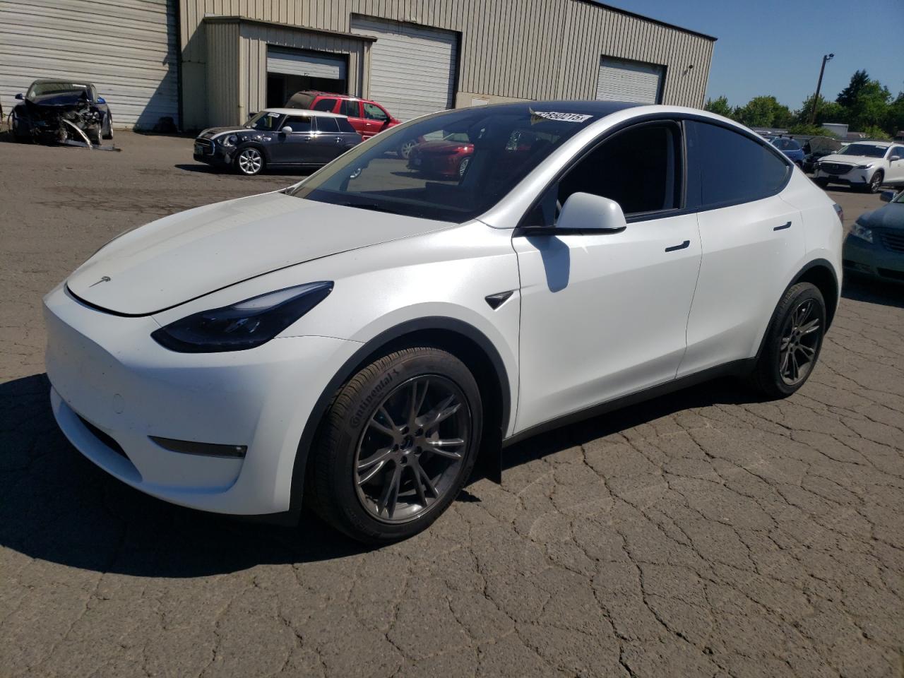 TESLA MODEL Y