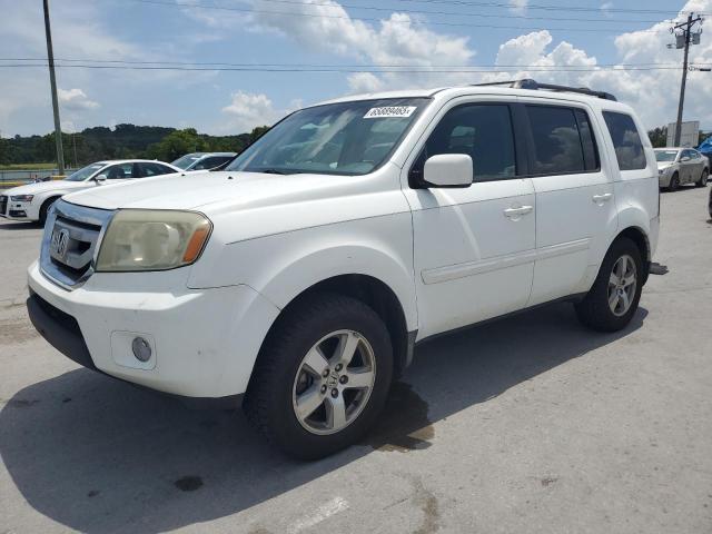 HONDA PILOT EXL 2010 white  gas 5FNYF4H50AB004464 photo #1
