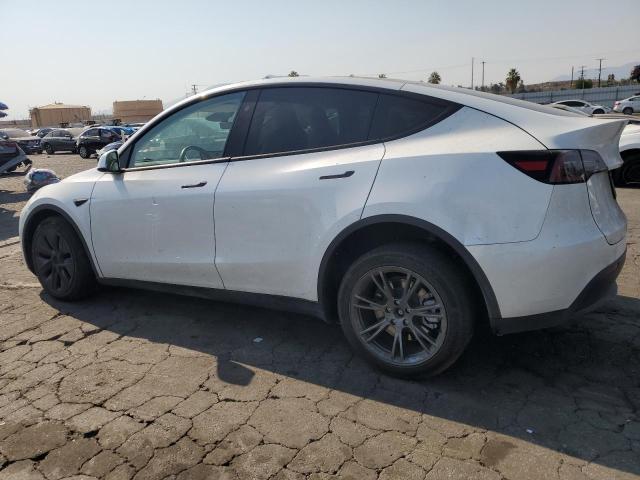 2024 TESLA MODEL Y 7SAYGDEE1RF126959