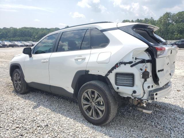 2025 TOYOTA RAV4 XLE P - 4T3B6RFV9SU177983