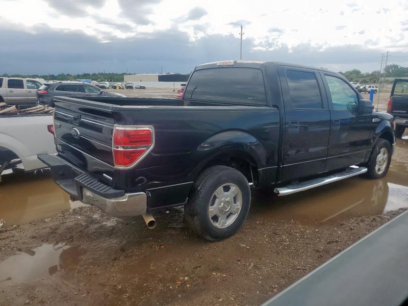 Vin: 1ftfw1cf9dfa60179, lot: 64220195, ford f-150 supercrew 20133