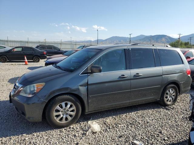 HONDA ODYSSEY EX