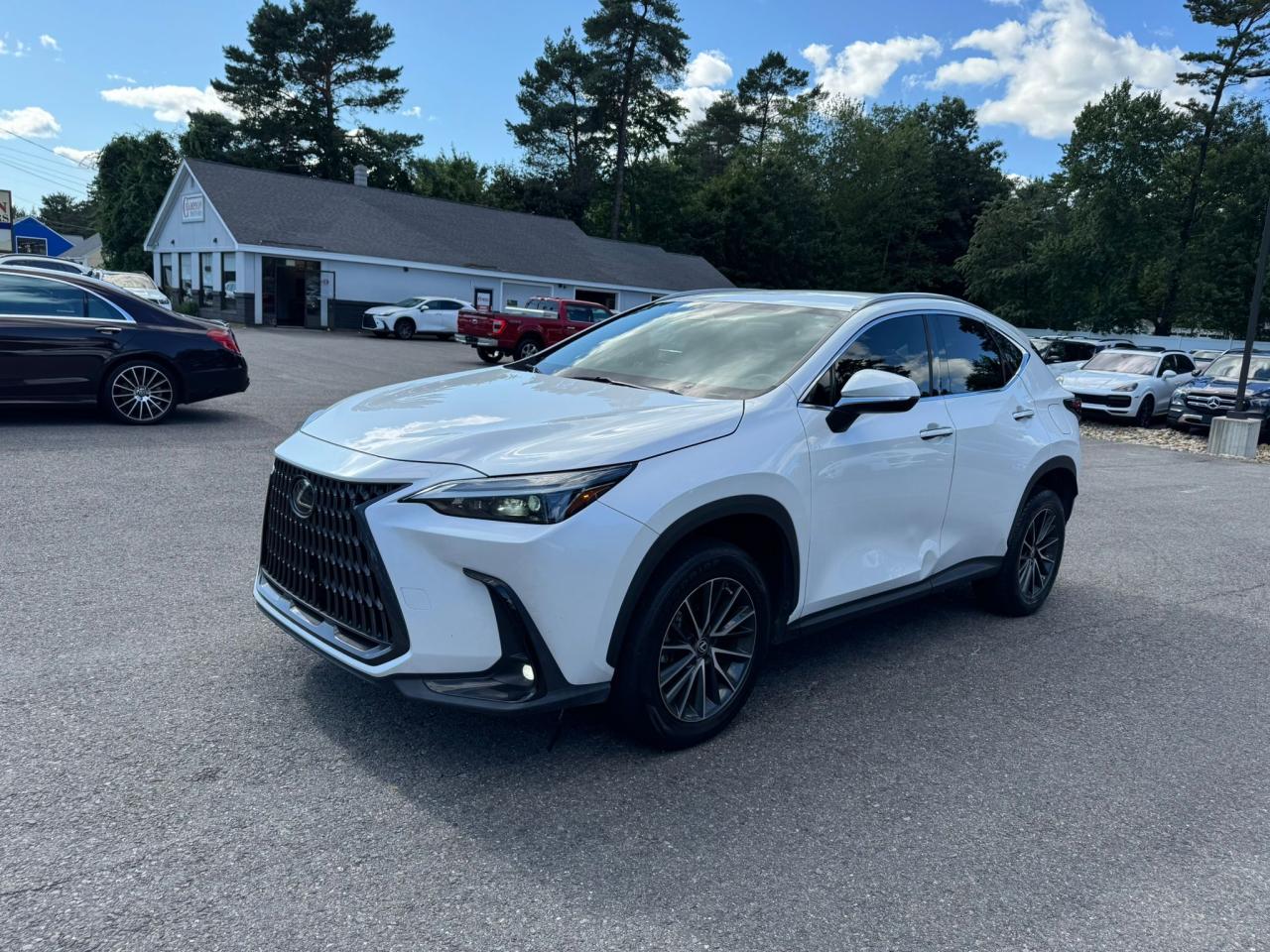 LEXUS NX 250