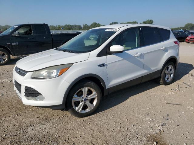 2014 FORD ESCAPE SE - 1FMCU0GX5EUB45907