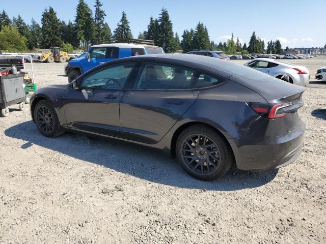 2025 TESLA MODEL 3 5YJ3E1EA7SF983379