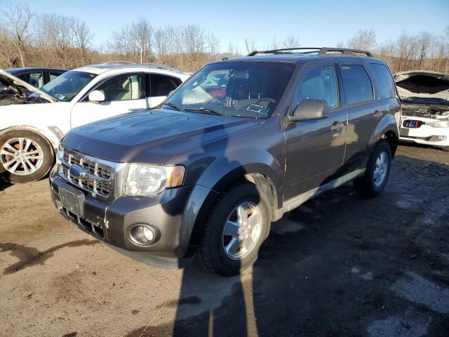FORD ESCAPE XLT