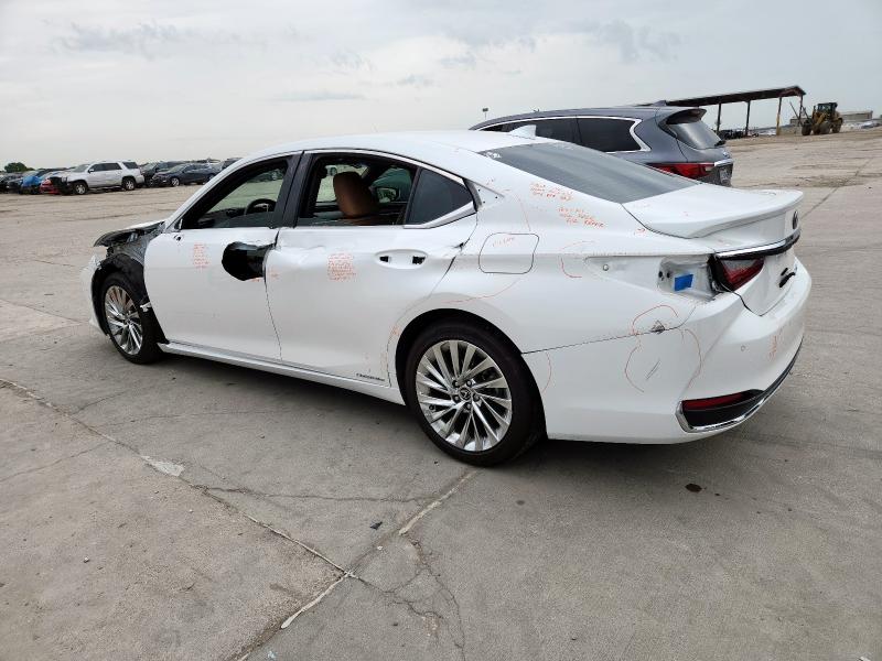 2021 LEXUS ES 300H UL 58AFA1C14MU007912