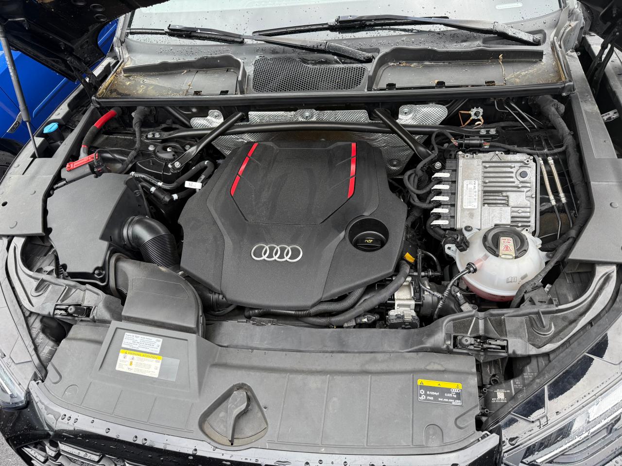 AUDI SQ5 PREMIUM PLUS