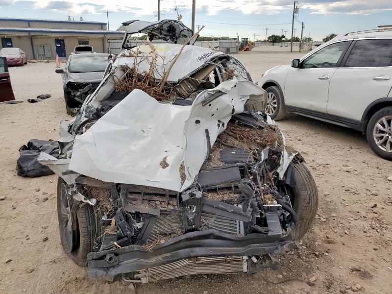 2024 VOLKSWAGEN TIGUAN SE 3VV3B7AX6RM065295