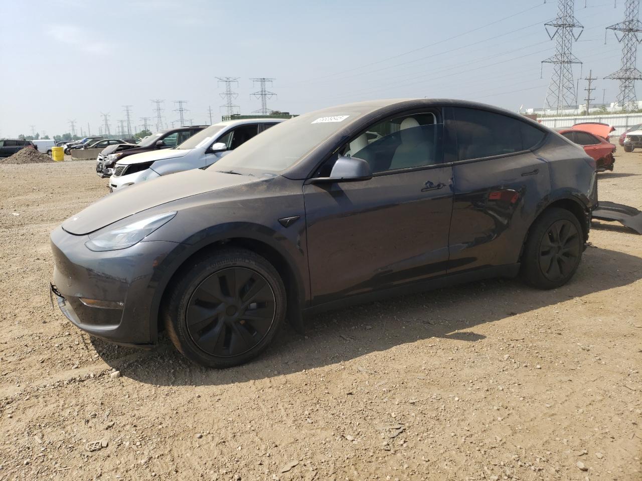 Lot #3297217379 2025 TESLA MODEL Y