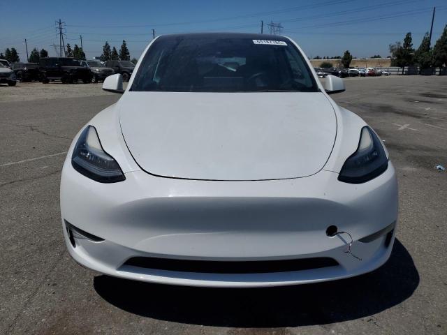 2021 TESLA MODEL Y 5YJYGDEE7MF160412