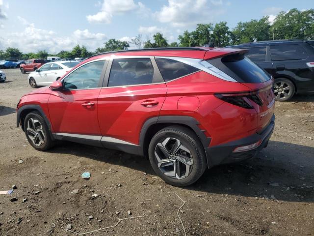2023 HYUNDAI TUCSON SEL 5NMJFCAE5PH164627