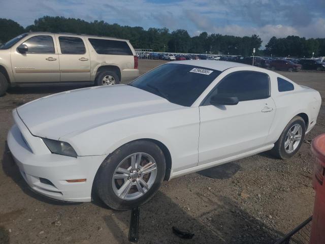Vin: 1zvbp8amxe5203151, lot: 62963085, ford all models 2014 img_1