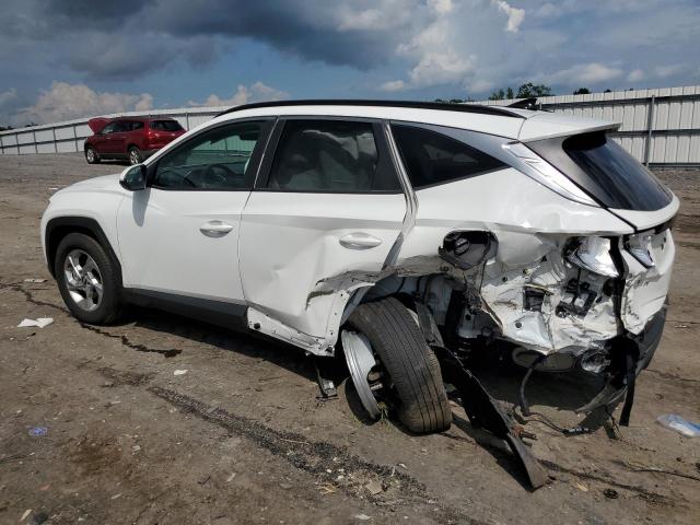 2024 HYUNDAI TUCSON 5NMJBCDE2RH374158