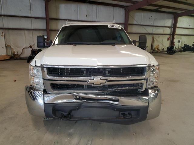 2010 CHEVROLET 2500 - 1GC5KVBG9AZ220225