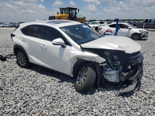 2021 LEXUS NX 300 BAS JTJDARBZ6M5021777