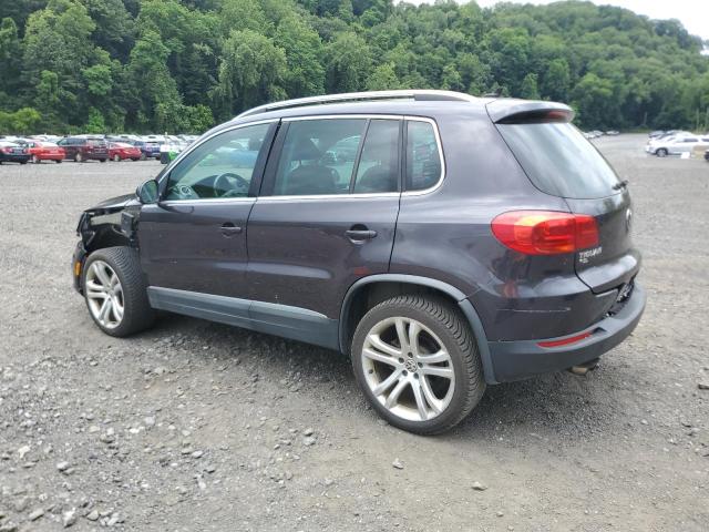 2016 VOLKSWAGEN TIGUAN S WVGBV7AX2GW608846