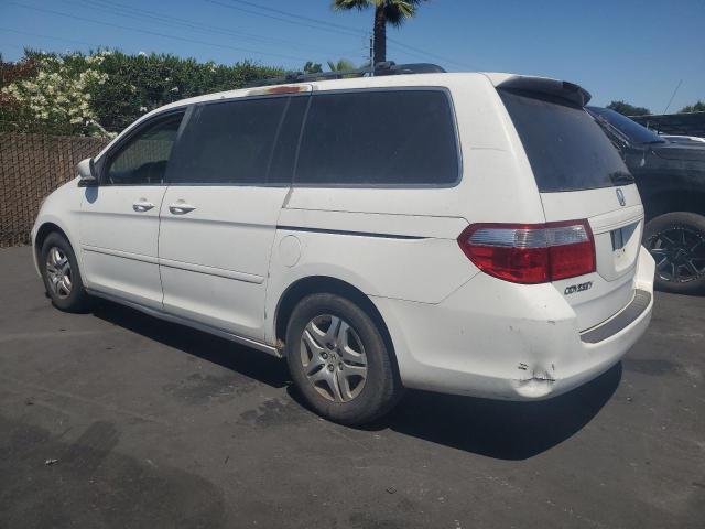 HONDA ODYSSEY EX 2007 white sports v gas 5FNRL38667B460834 photo #3