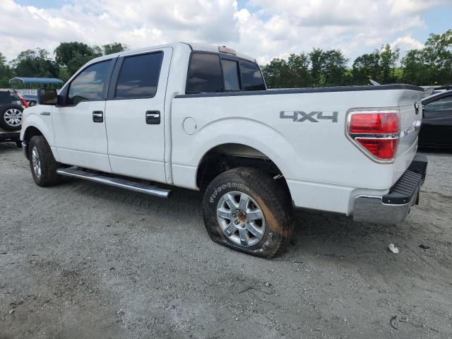 2014 FORD F150 SUPERCREW - Inny widok