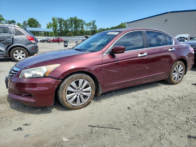 HONDA ACCORD EXL