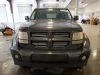Lot #3303745418 2011 DODGE NITRO HEAT