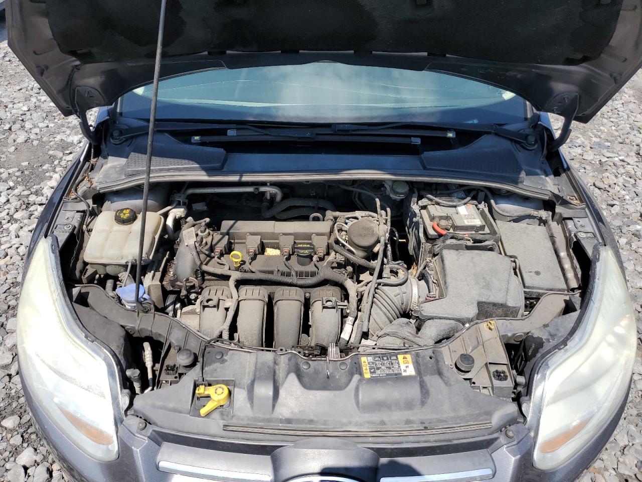 Lot #3317786074 2014 FORD FOCUS SE