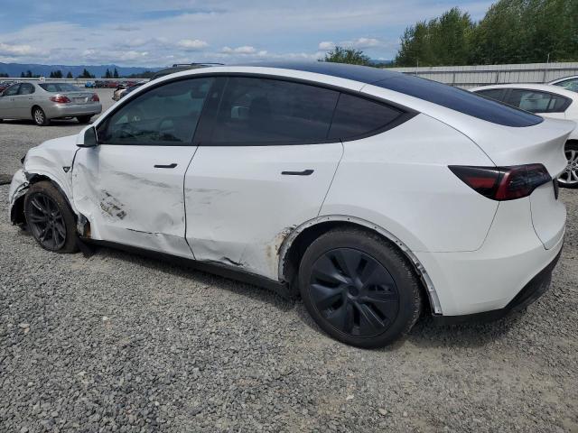 2024 TESLA MODEL Y 7SAYGDEEXRF162231