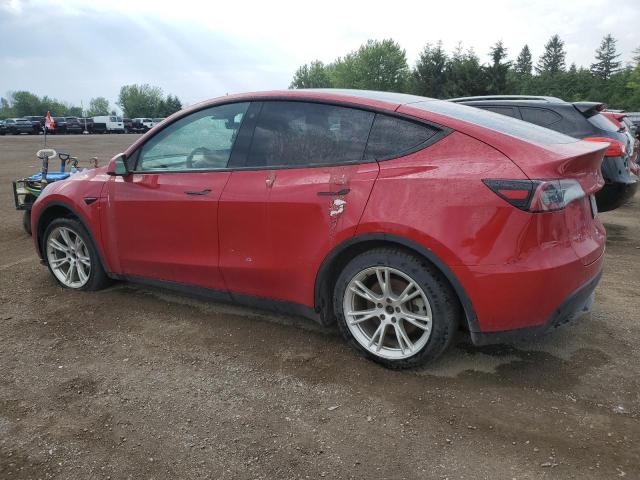 2021 TESLA MODEL Y 5YJYGAEE0MF262746